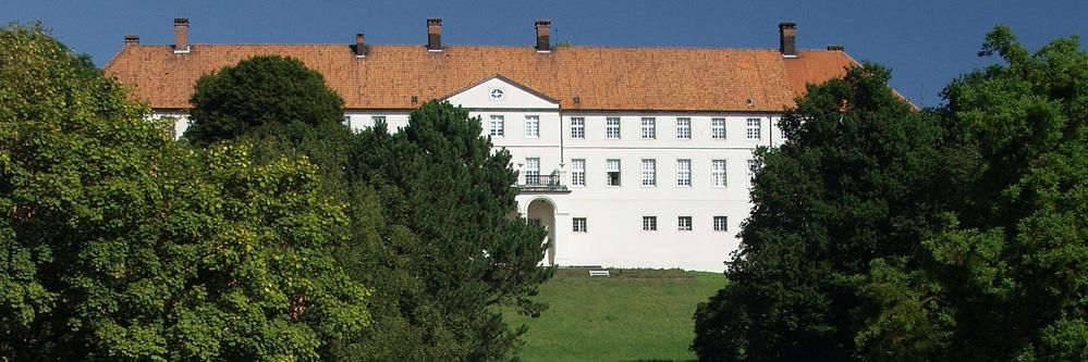 Das Schloss Cappenberg im Hintergrund mit einer großen Prakanlage davor.